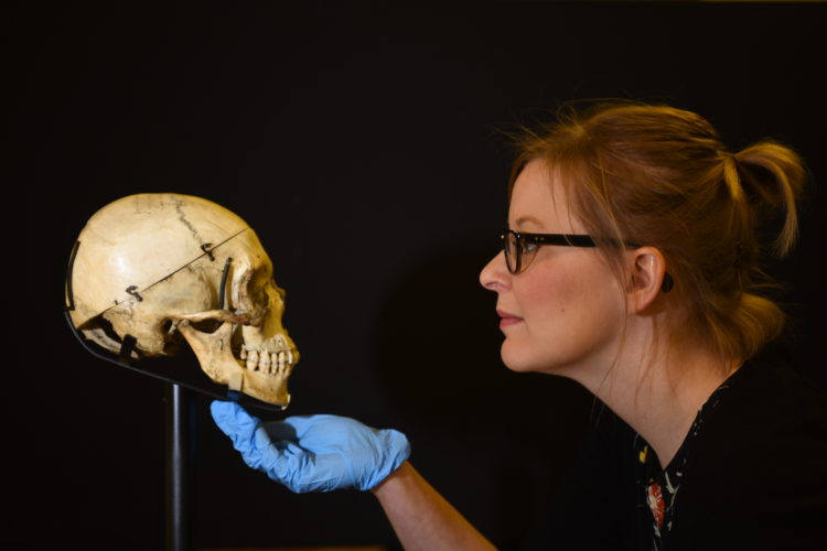 Zoë Wilcox, lead curator of Shakespeare in Ten Acts, adjusts a human skull given to Sara Bernhardt by Victor Hugo. On loan from the V&A. © Clare Kendall