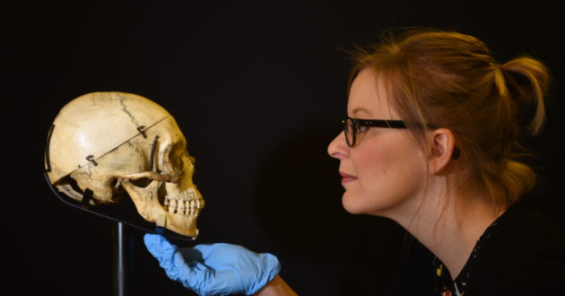 Zoë Wilcox, lead curator of Shakespeare in Ten Acts, adjusts a human skull given to Sara Bernhardt by Victor Hugo. On loan from the V&A. © Clare Kendall