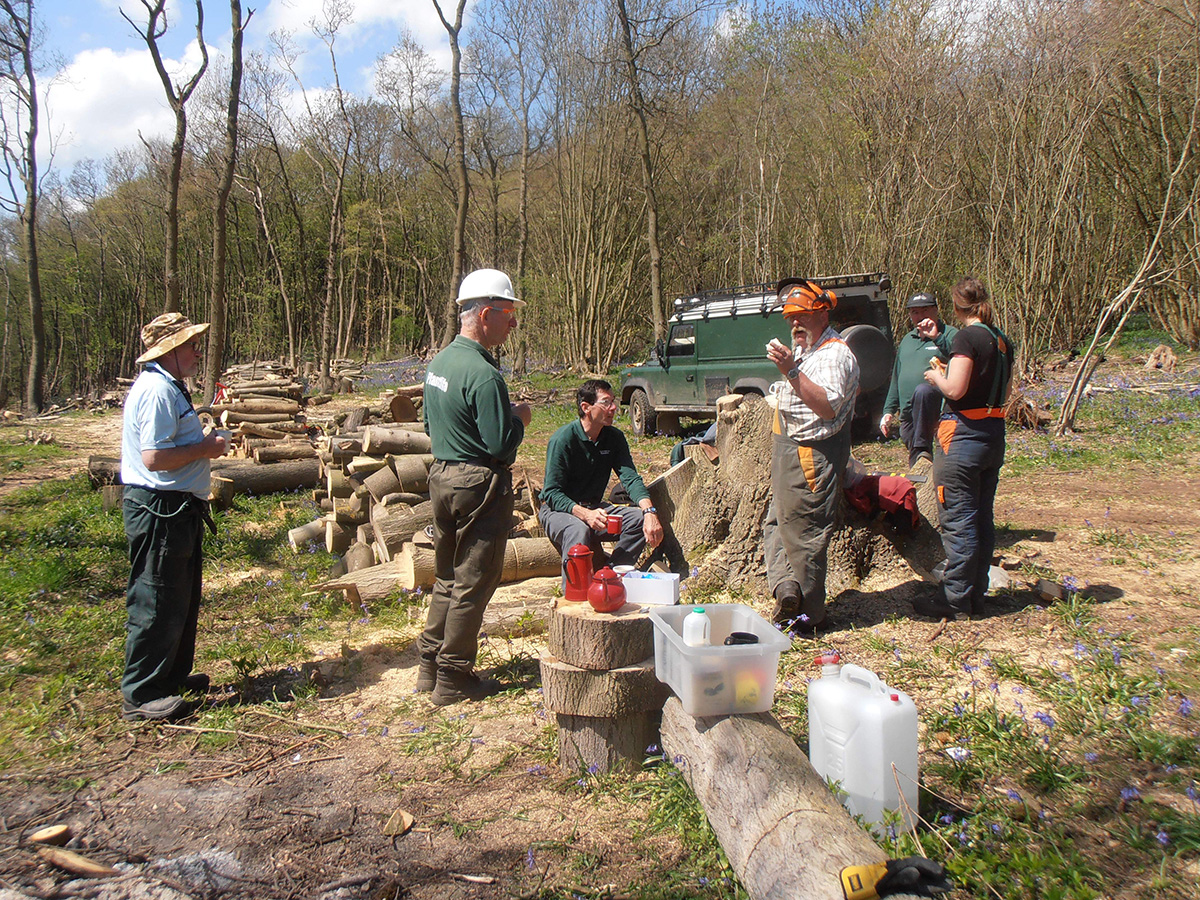 photo of Longhoes-Wood with volunteers