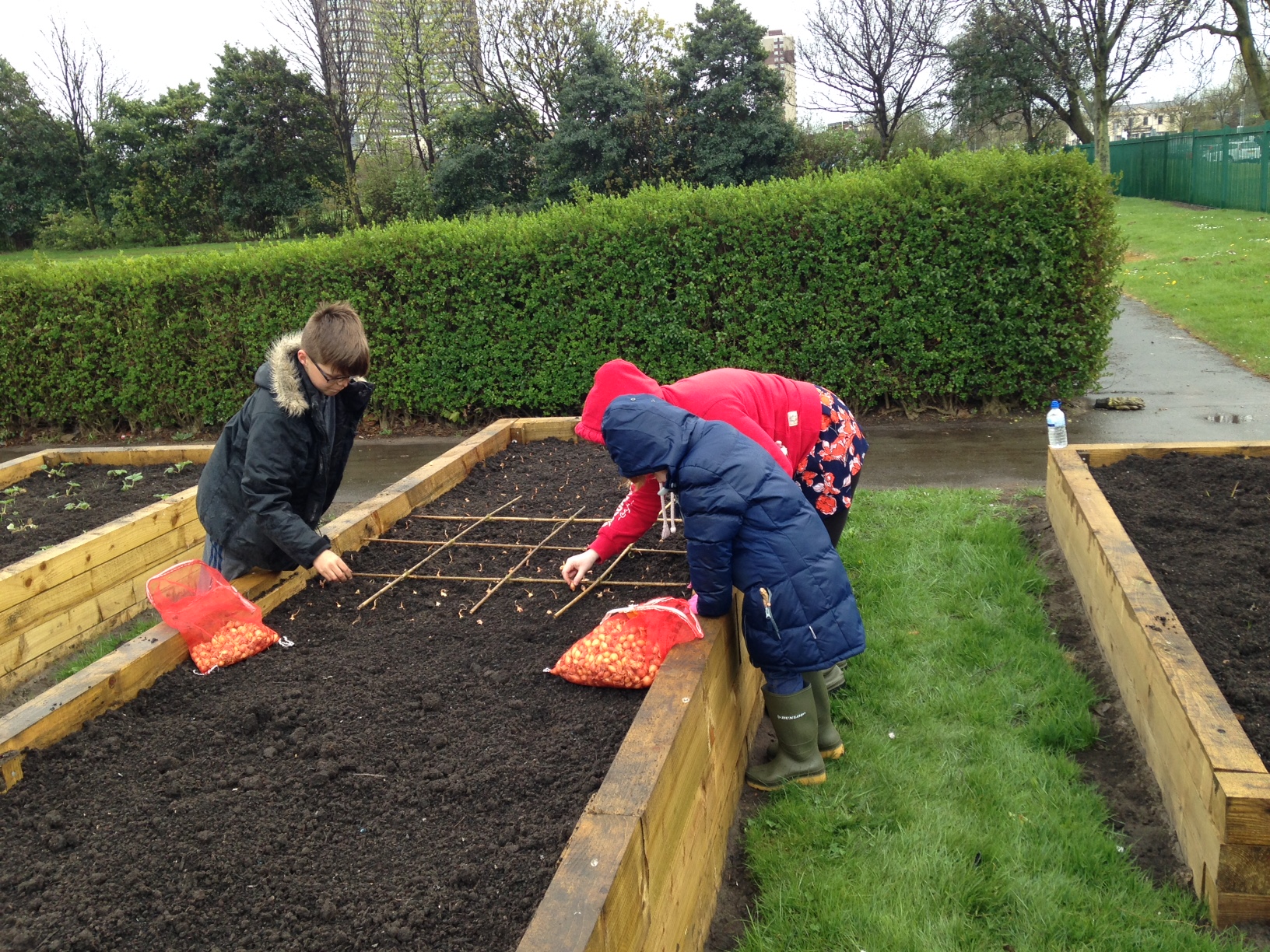 kids-planting