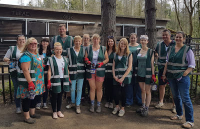 KCF team at our community volunteering day at Wildwood Trust, Herne Bay, Kent