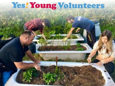 Young volunteers working outdoors in a garden