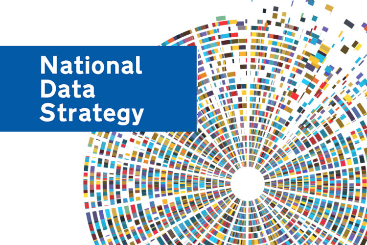 National Data Strategy